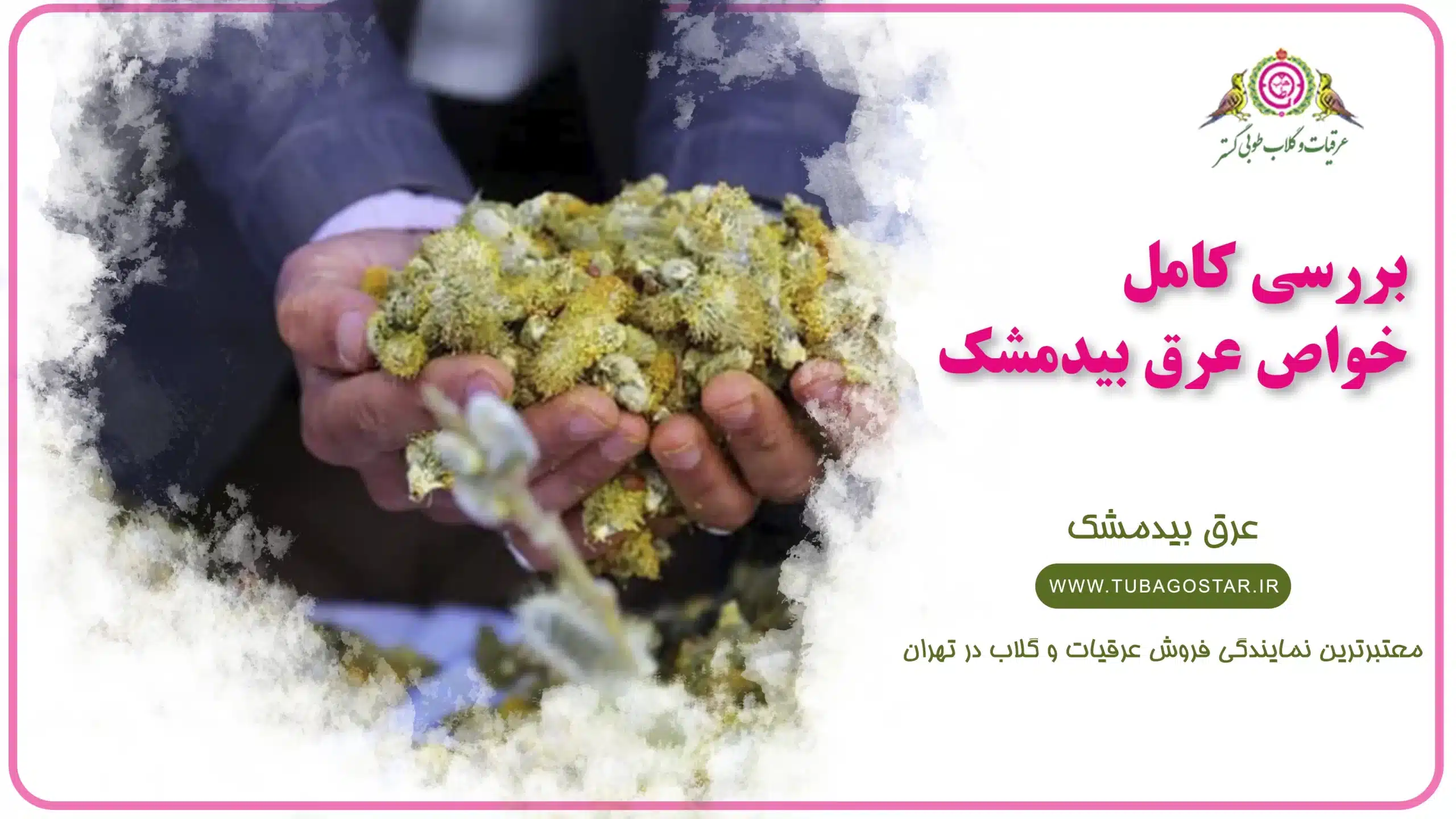 خواص عرق بیدمشک