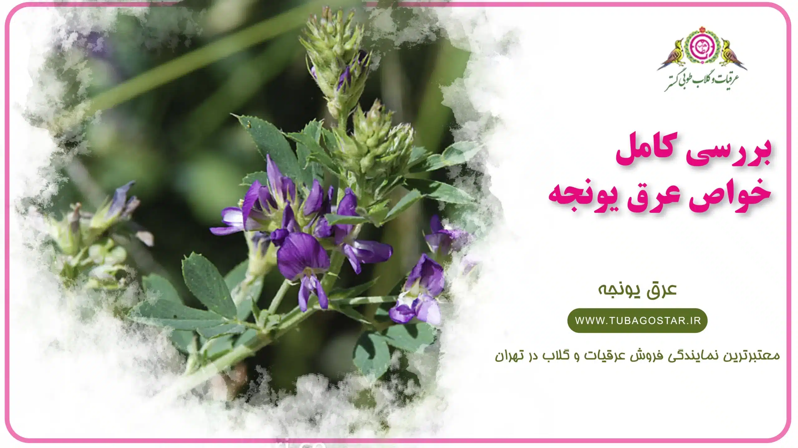 خواص عرق یونجه