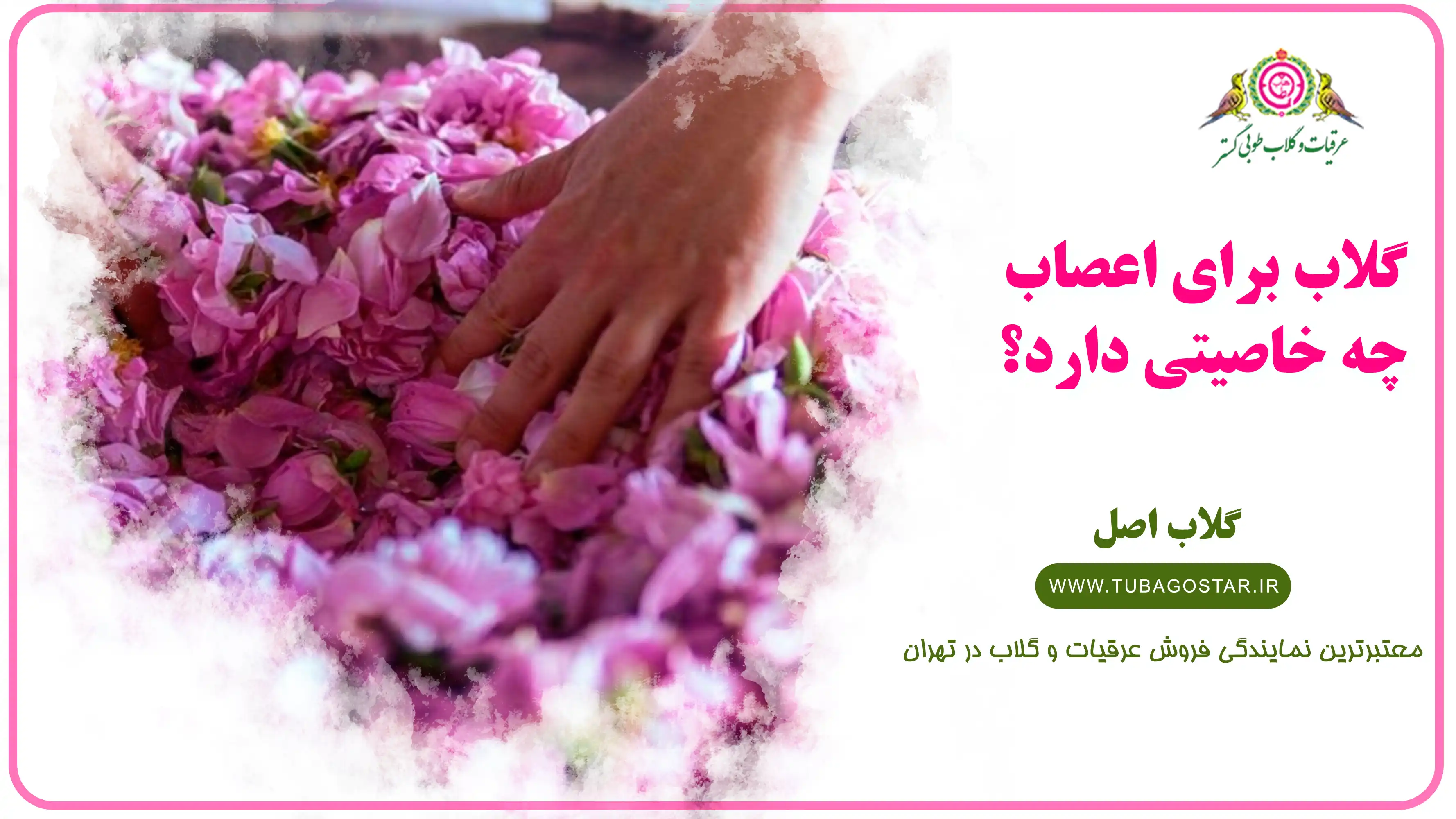 خواص گلاب برای اعصاب