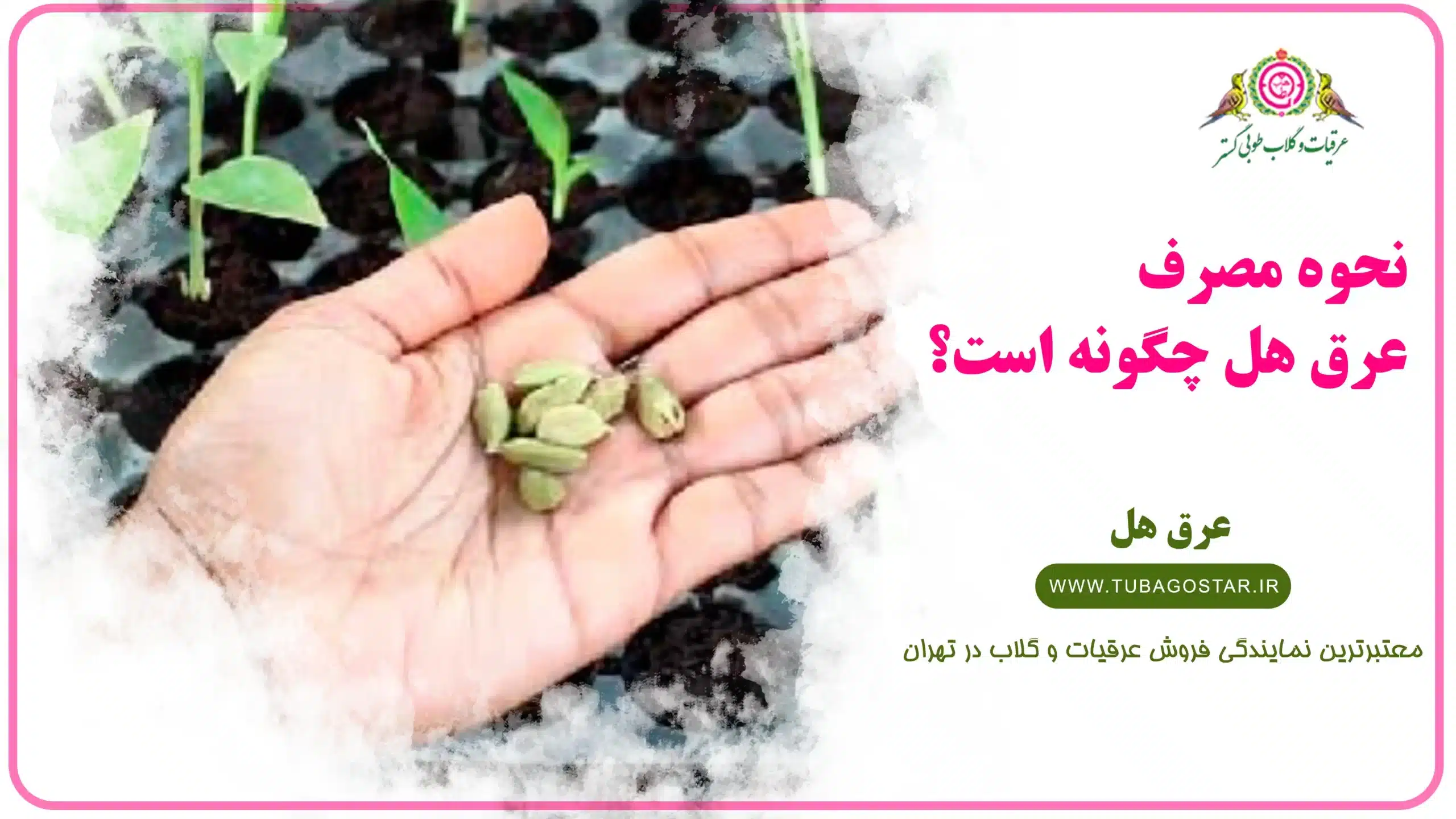 طریقه مصرف عرق هل