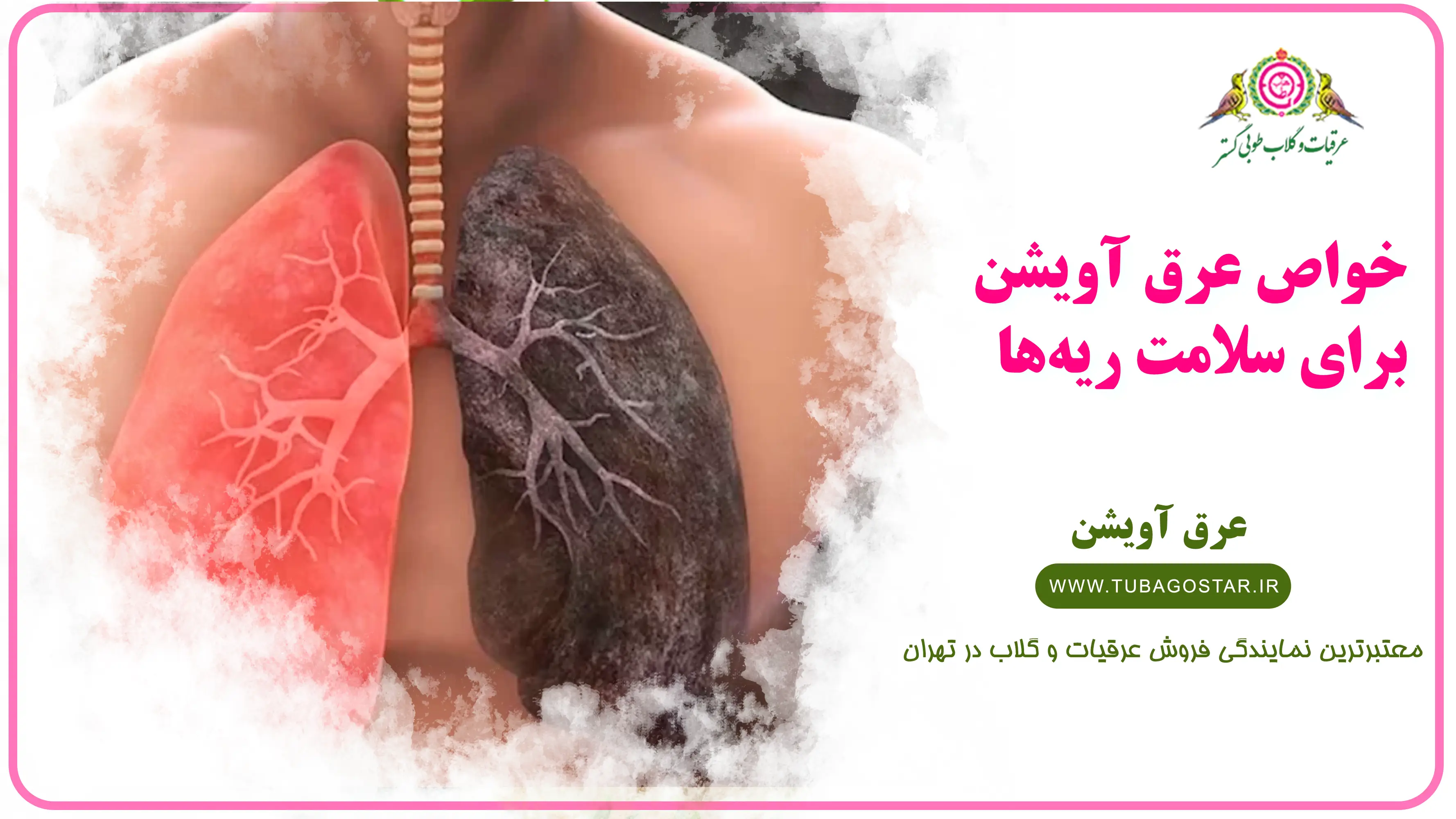 عرق اویشن برای ریه