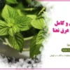 نحوه مصرف عرق نعنا