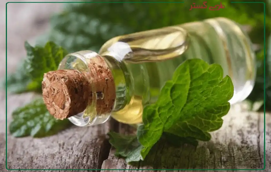 عرق نعنا اشتها آور