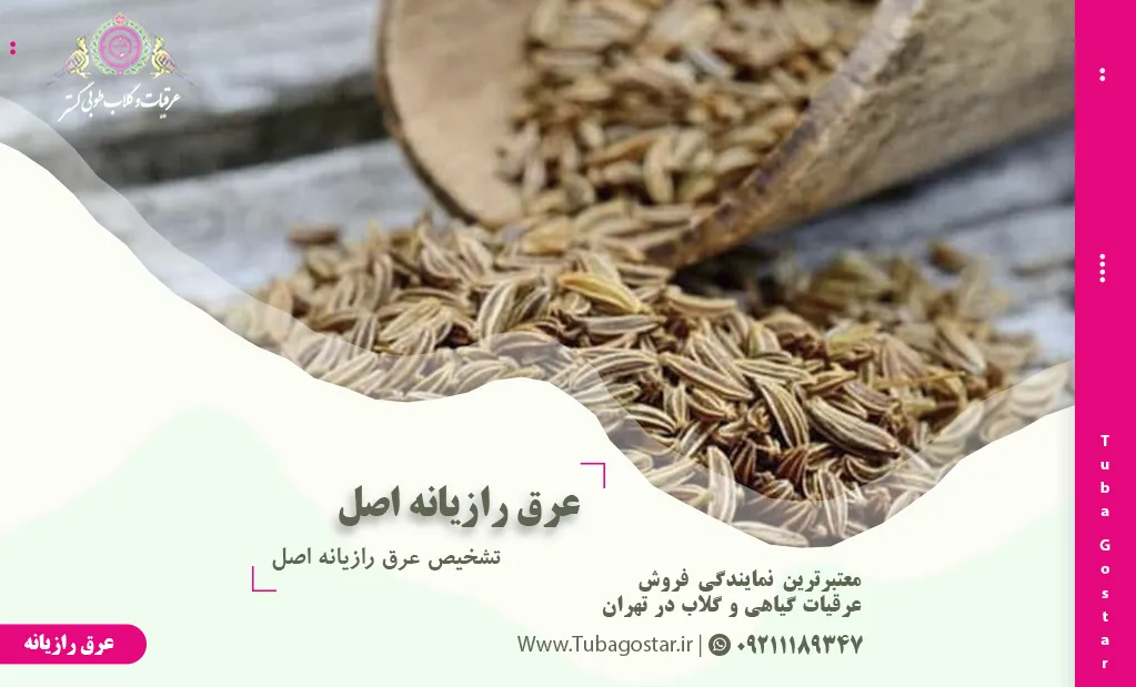 تشخیص عرق رازیانه اصل