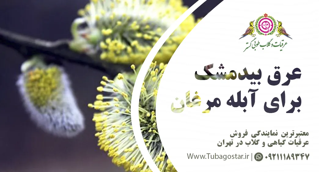 عرق بیدمشک برای آبله مرغان