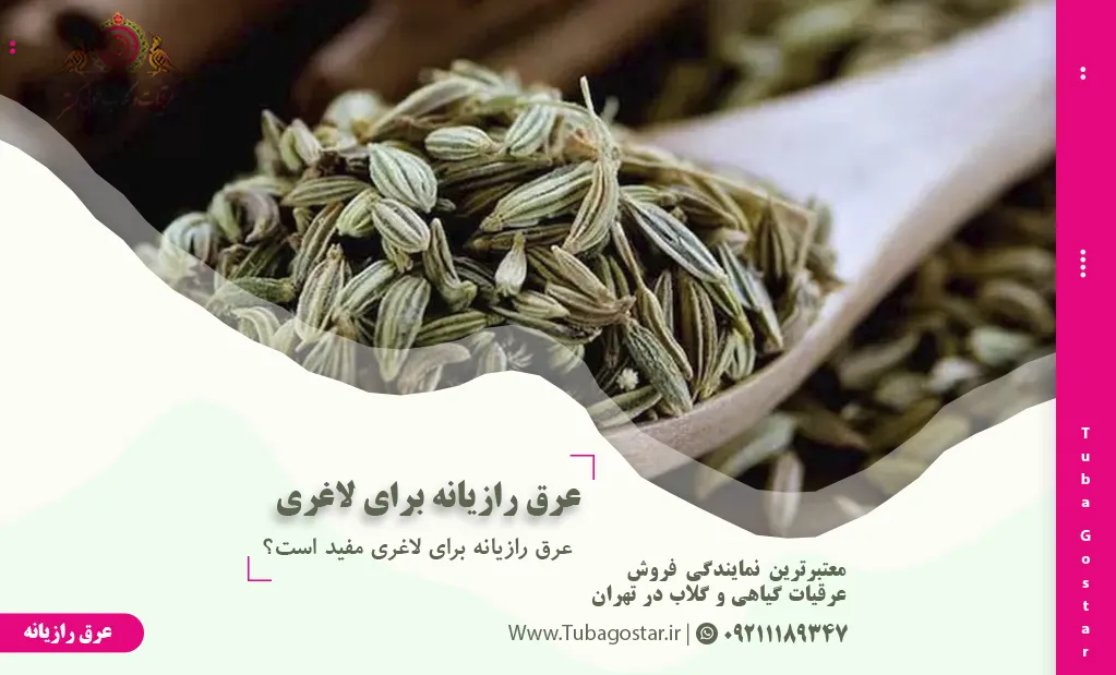 عرق رازیانه برای لاغری