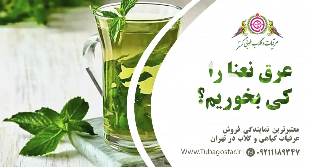 عرق نعنا را کی بخوریم؟