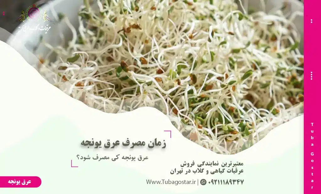 عرق یونجه کی مصرف شود؟