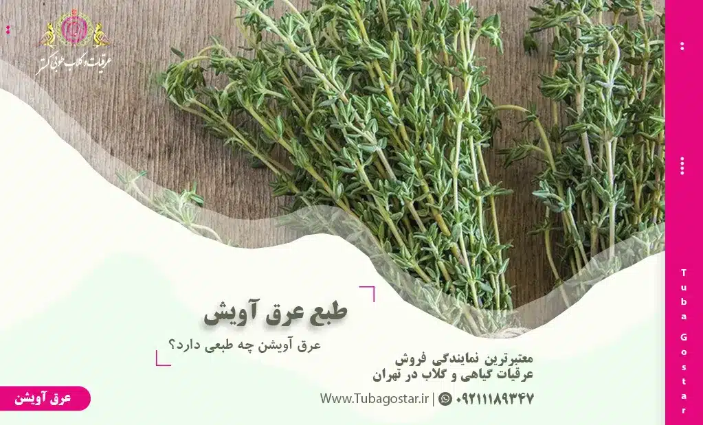 طبع عرق آویشن