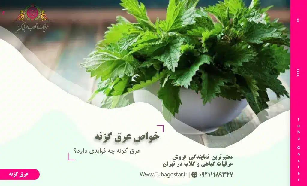 خواص عرق گزنه