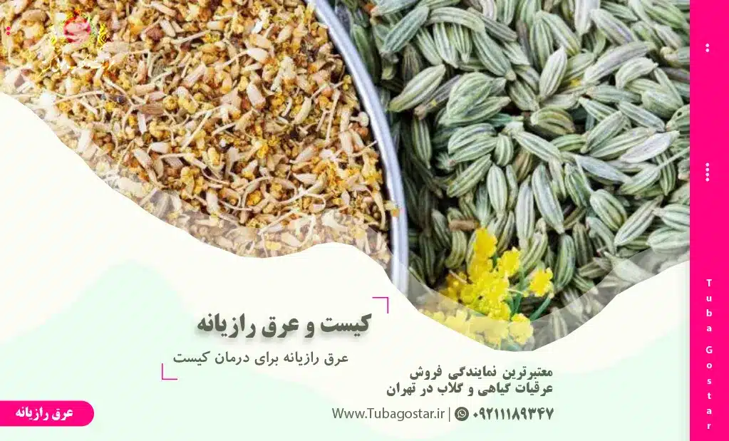 عرق رازیانه برای درمان کیست
