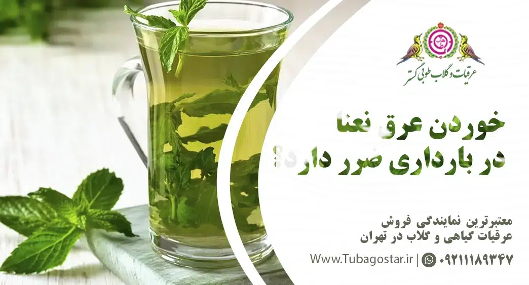 آیا خوردن عرق نعنا در بارداری ضرر دارد