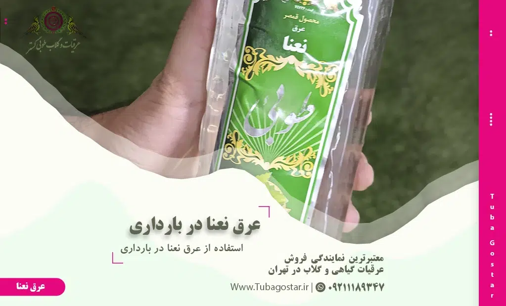 استفاده از عرق نعنا در بارداری