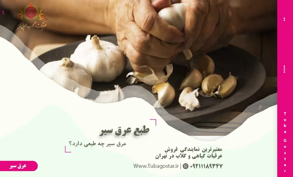 عرق سیر چه طبعی دارد؟