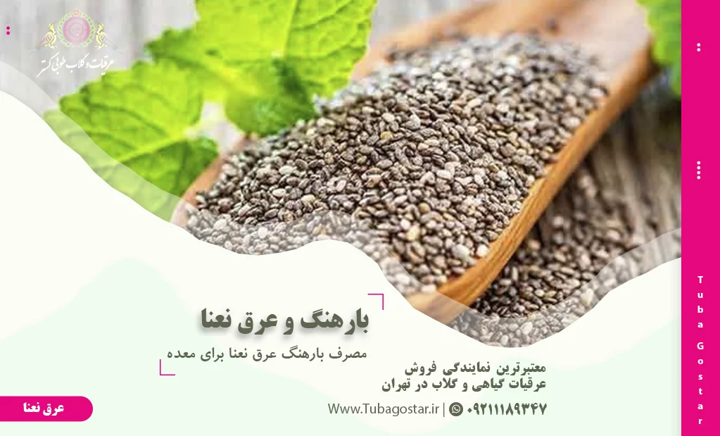 نحوه مصرف بارهنگ و عرق نعنا برای معده