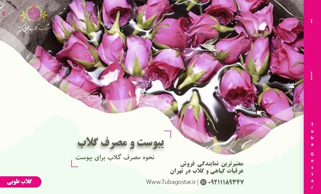 نحوه مصرف گلاب برای یبوست