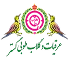 پخش و نمایندگی طوبی گستر