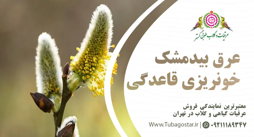 عرق بیدمشک خونریزی قاعدگی