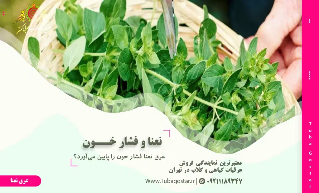 عرق نعنا برای فشار خون