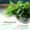 عرق گزنه برای پروستات