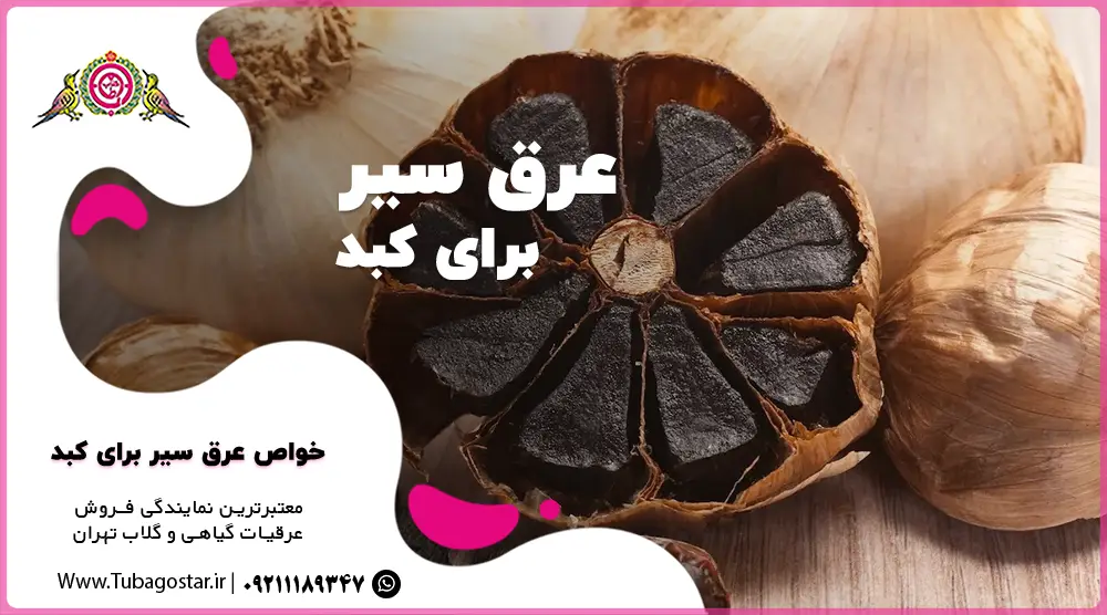 خواص عرق سیر برای کبد