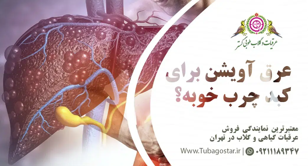 عرق آویشن برای کبد چرب خوبه؟