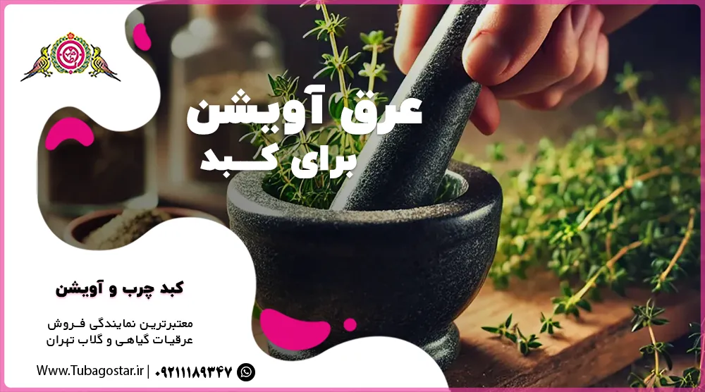 عرق آویشن برای کبد