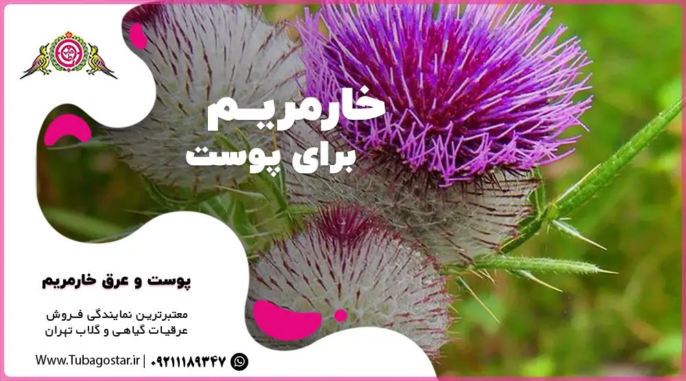 عرق خارمریم برای پوست