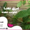 عرق نعناع برای عفونت معده