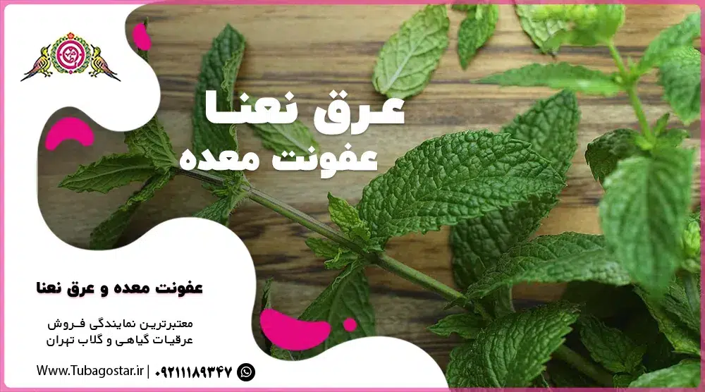 عرق نعناع برای عفونت معده