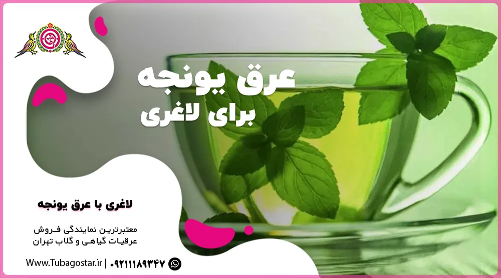 عرق یونجه برای لاغری
