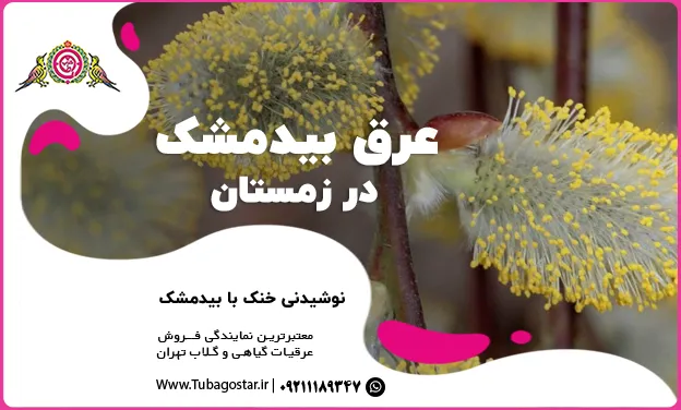 عرق بیدمشک در زمستان