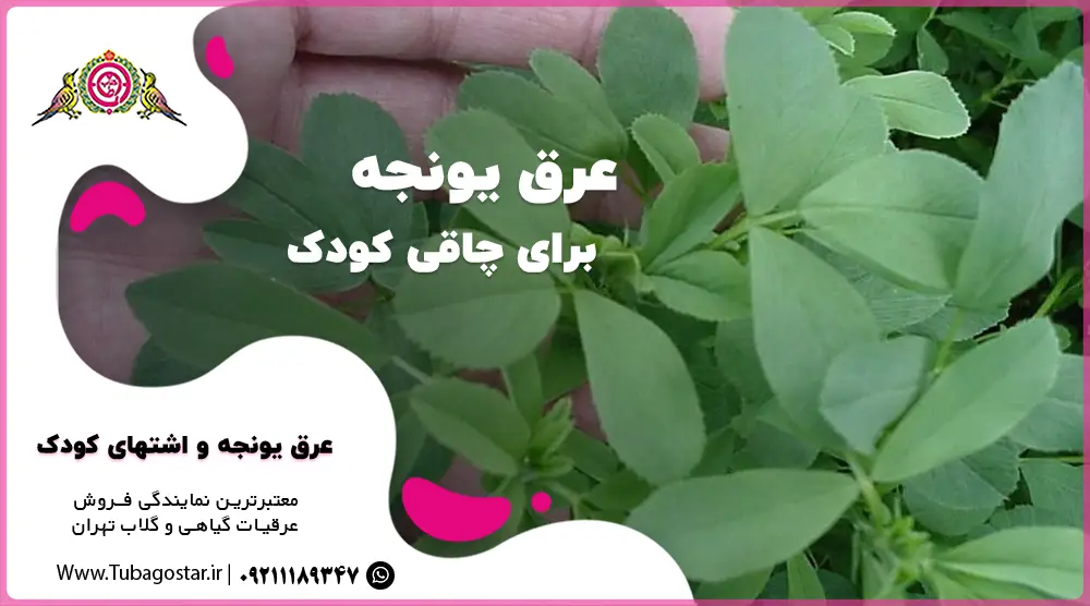 عرق یونجه برای اشتهای کودک