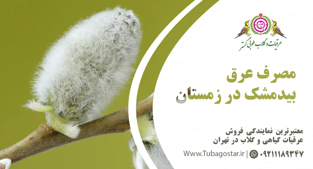 نوشیدنی خنک بیدمشک