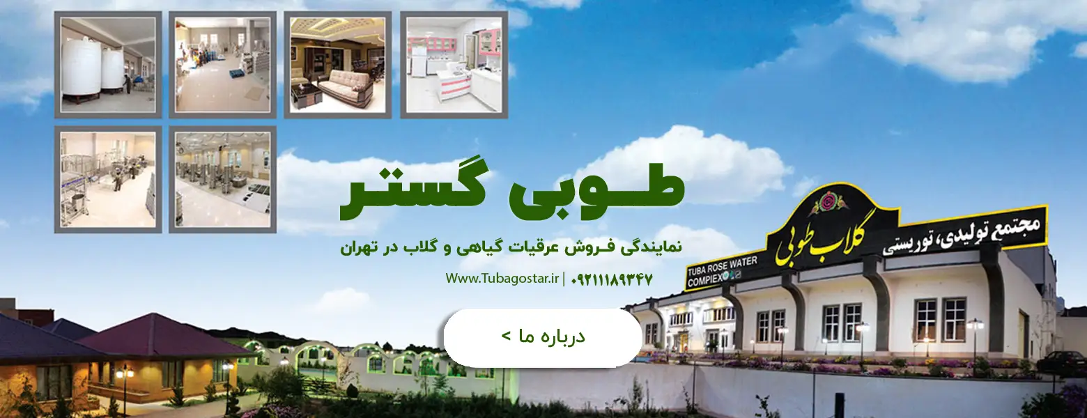 درباره طوبی گستر