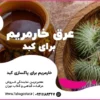 عرق خارمریم برای پاکسازی کبد
