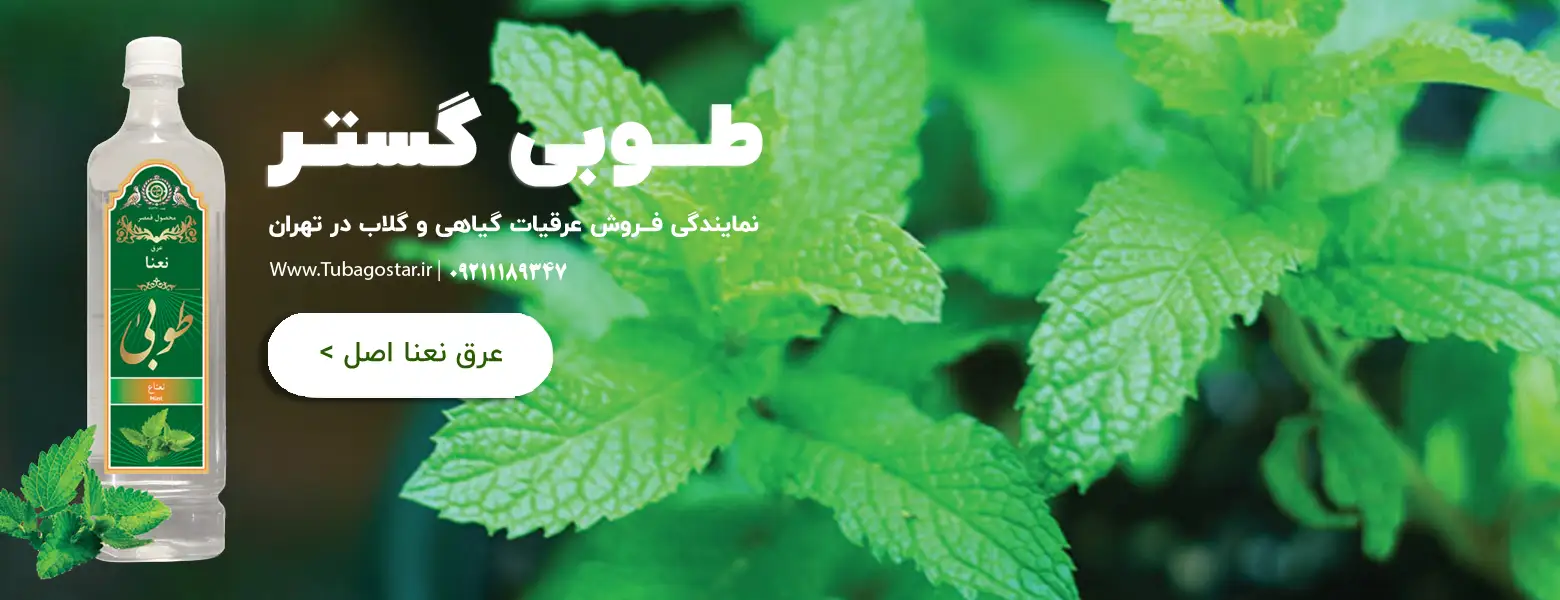 عرق نعنا طوبی گستر