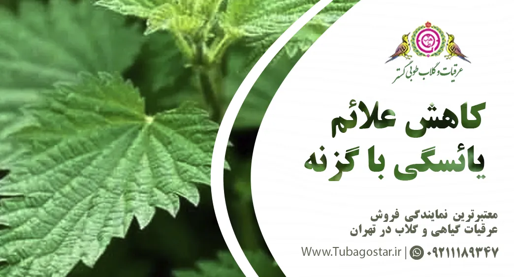 عرق گزنه برای زنان یائسه