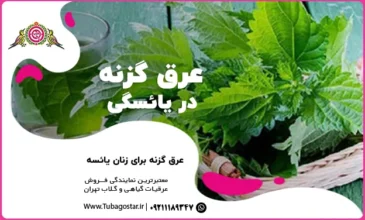 عرق گزنه در یائسگی