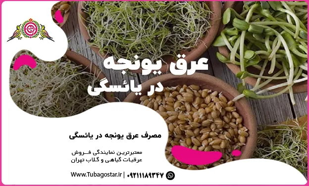 عرق یونجه در یائسگی
