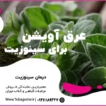 عرق آویشن برای سینوزیت