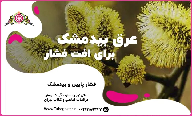 عرق بیدمشک برای افت فشار