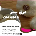 عرق سیر و بوی بدن