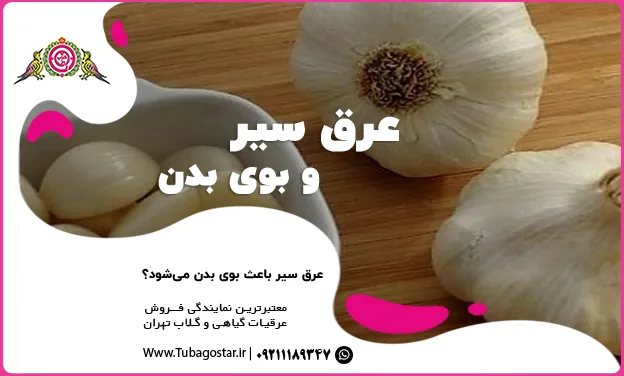 عرق سیر و بوی بدن