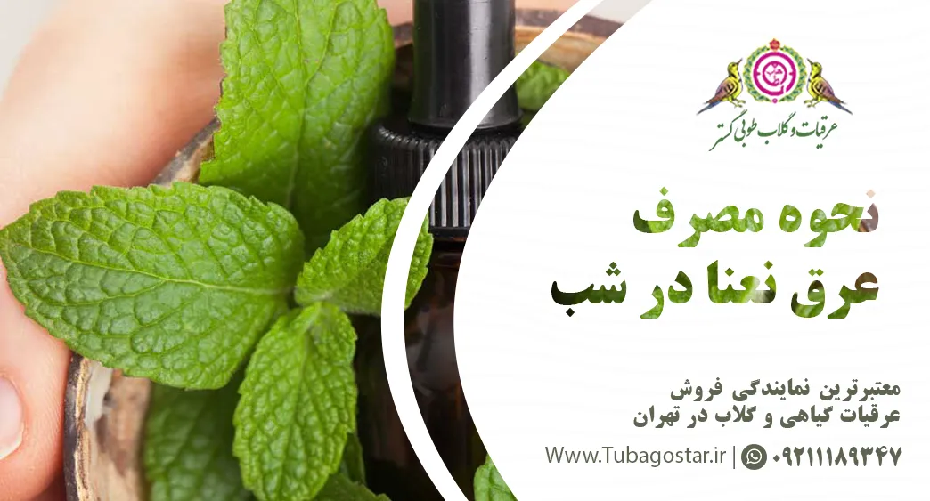 مصرف شبانه عرق نعنا