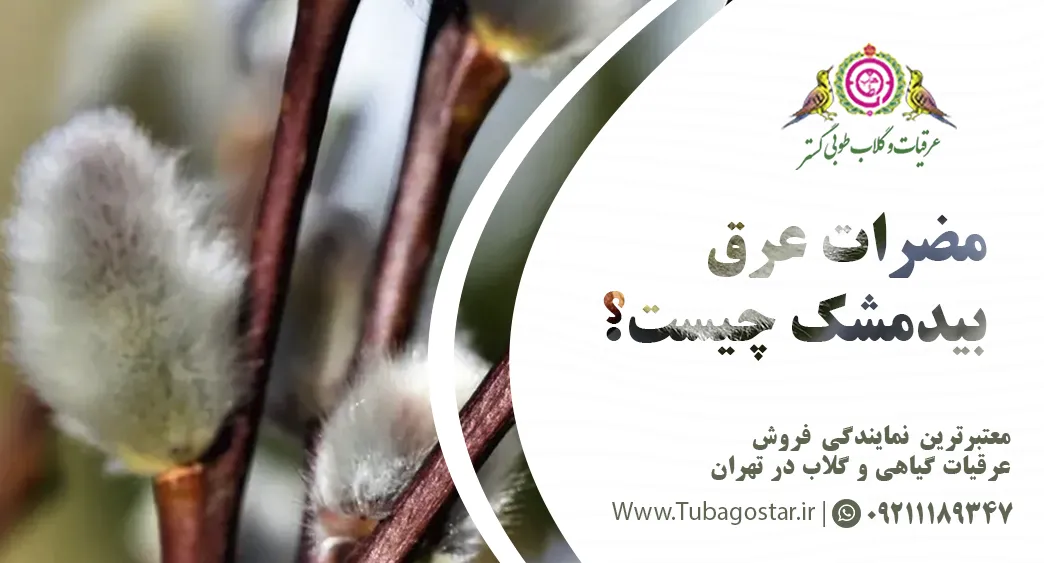 مضرات بیدمشک